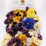 Freeze Dried Edible Pansies | Edible Flowers for Cakes | Freshly Preserved