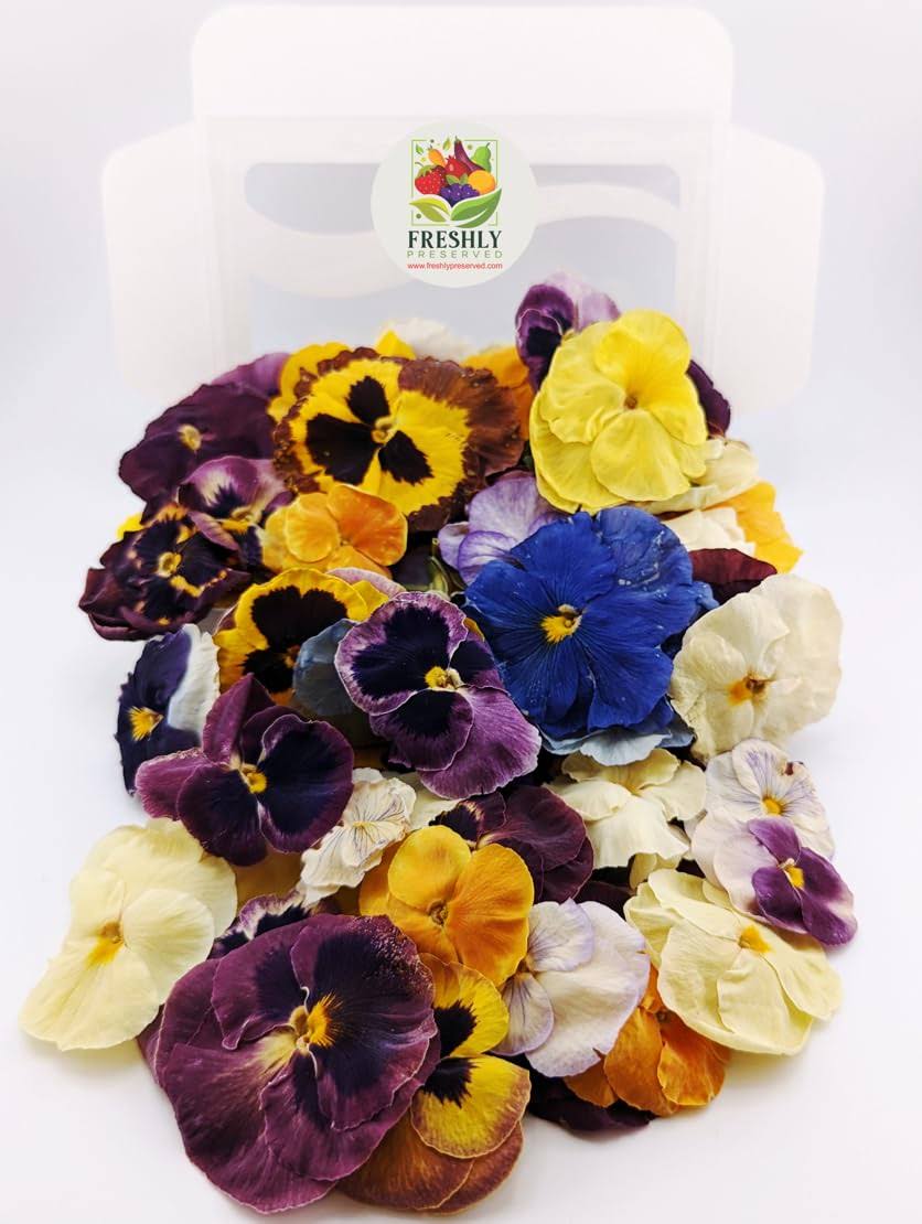 7518f124bfa9f48e016e1dbfbaa2baa86bf9caaac9d8c9f657bad3b075185296.jpg Freeze Dried Edible Pansies | Edible Flowers for Cakes | Freshly Preserved - Image 1
