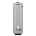 A.O. Smith Signature 100 30-Gallon Tall 6-Year Limited 32000-BTU Natural GAS Water Heater | G6-T3032NVR