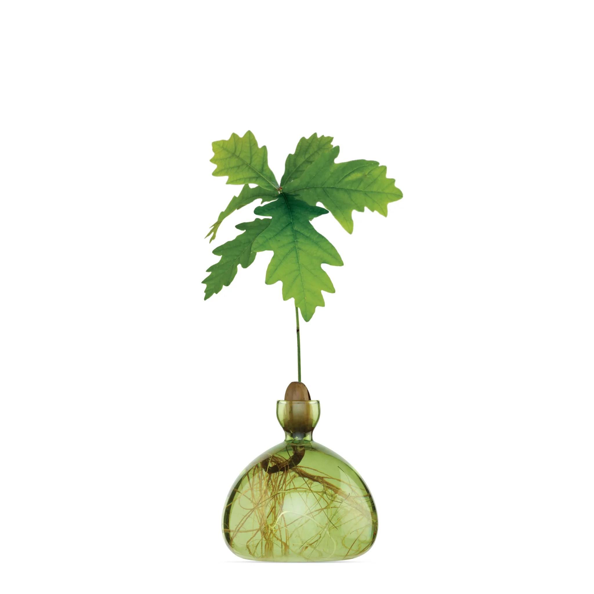 78c4029c4a82b96e74b97ff3cba586bbc1ef1065701b4a0a2c3a0815d1f068b2.jpg Ilex Studio - Acorn Vase - Grass Green - Image 1