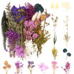 Vignee Real Dried Pressed Leaf Flowers-Multiple Colorful Pressed Flowers Daisies for Craft Resin Jewelry Making Art Craft DIY(Violet)
