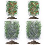 4 Pack Garden Mesh Netting for Plants, Insect Bird Netting Pest Barrier Bag with Drawstring, 2 Size Tomato Protective Cover Fruits Tree Blueberry