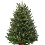 Tabletop Holiday Tree-36" Tall