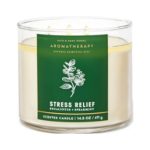 Bath & Body Works Accents | 3 Eucalyptus & Spearmint Aromatherapy 3-Wick Candles | Color: Green/White | Size: Os | Scentedshoppe's Closet