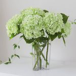 DUYONE 3pcs 22 inch Lifelike Artificial Hydrangea Large Real Touch Flowers Artificial Flowers Dry Flowers Outdoor Wedding Christmas Office Family