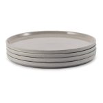 Our Place Set of 4 Dinner Plates in Steam