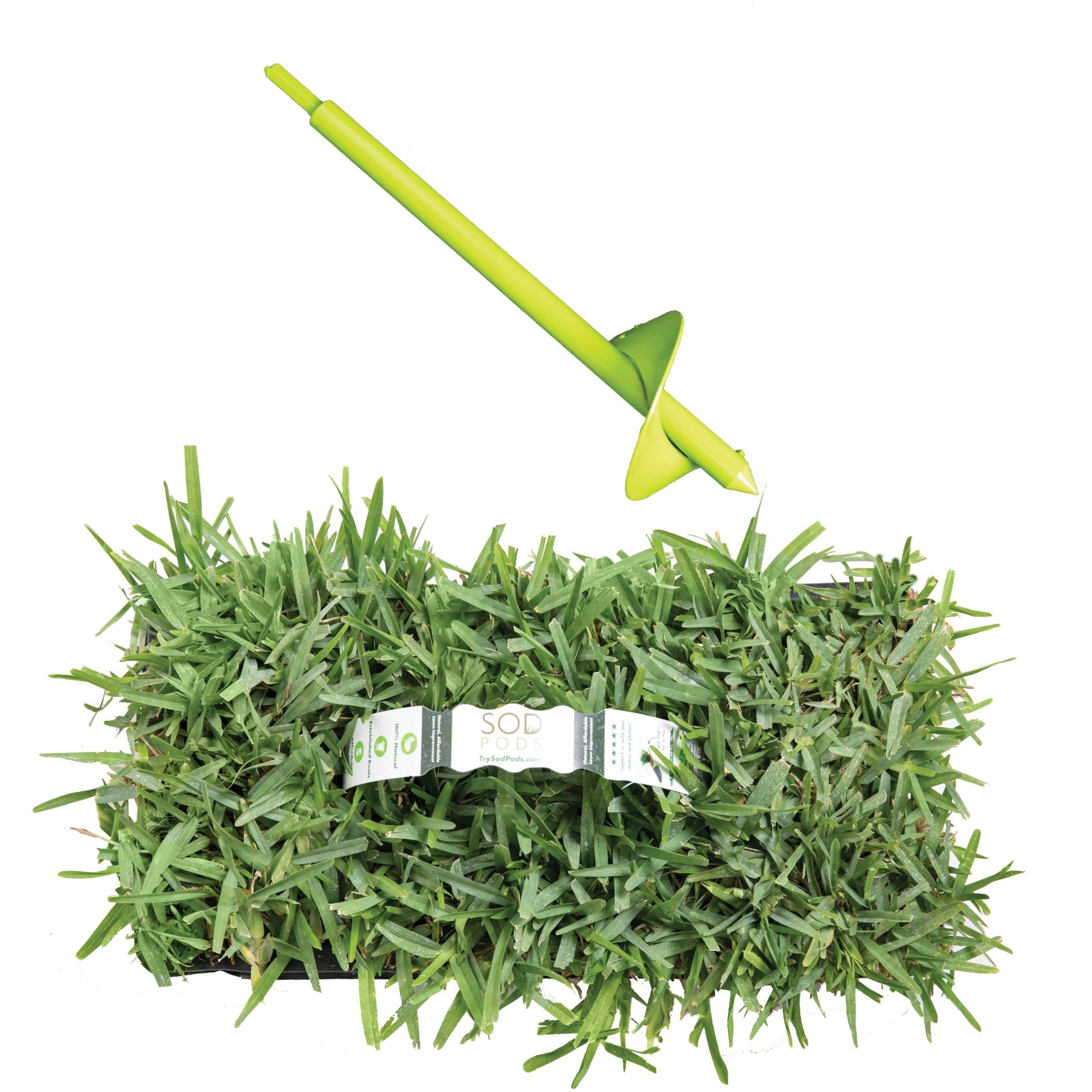 81772cb52ceb6c60cfb51dcd1a3be37470c87100538a8b02c156755fd8eed7af.jpg St Augustine Floratam Sod/Grass Plugs 16-Count/SP Power Planter Bundle - Image 1