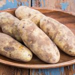 Seed Potato Russett Burbank (2 lbs. Pack)