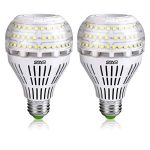 SANSI A21 22W (250-200Watt Equivalent) Omni-Directional Ceramic LED Light Bulbs