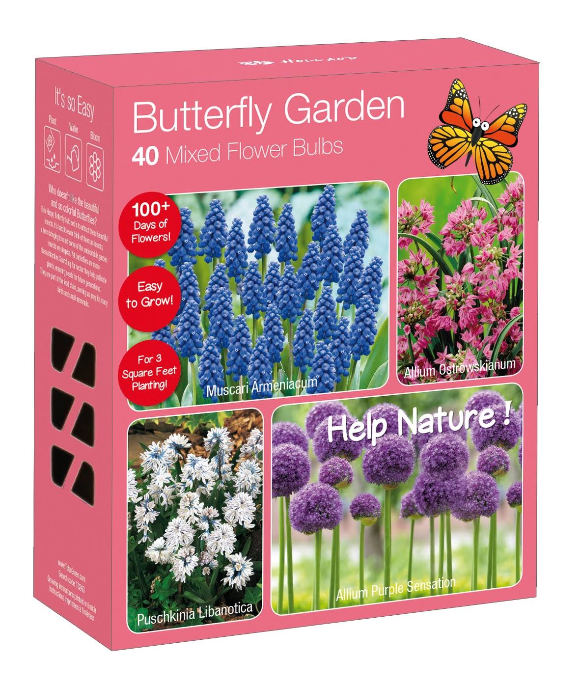 8643fdbb87e1542896cbc0e4128fa0976d30093e99b46b6f496c10b61447f60d.jpg 40pk Butterfly Garden Nature Friendly Collection Assorted Bulbs - National Plant Network - Image 1