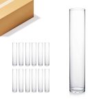 WGV Internatonal Clear Glass 3-Inch x 16-inch Cylinder Vase