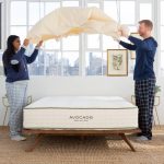 Waterproof Mattress Protector by Avocado - Full
