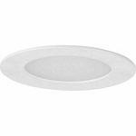 Progress Lighting Everlume 4" LED Recessed Downlight, White