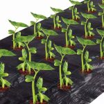 4 ft. x 12 ft. Easy-Plant Weed Block for Raised Bed Outdoor Garden Weed Rugs with Planting Hole Diameter 3 in.