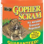 Gopher Scram Granular Repellent, 3.5 lbs., Enviro, 13004