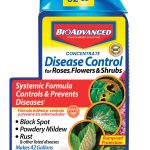 Bayer Advanced 701250 Disease Control for Rose, Flower and Shrubs Concentrate, 32ounce