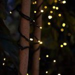 4 Pack - Battery Operated Outdoor Christmas Tree String Lights with 50 Warm White LEDs on 16.5Ft/5M of Dark Green Cable,Ambiance Lighting for Bedroom