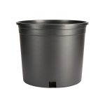 Style Selections 10.25-in W x 8.8-in H Black Plastic Hanging Nursery Planter