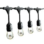 Luminar 24 ft. 12 Bulb Outdoor String Lights