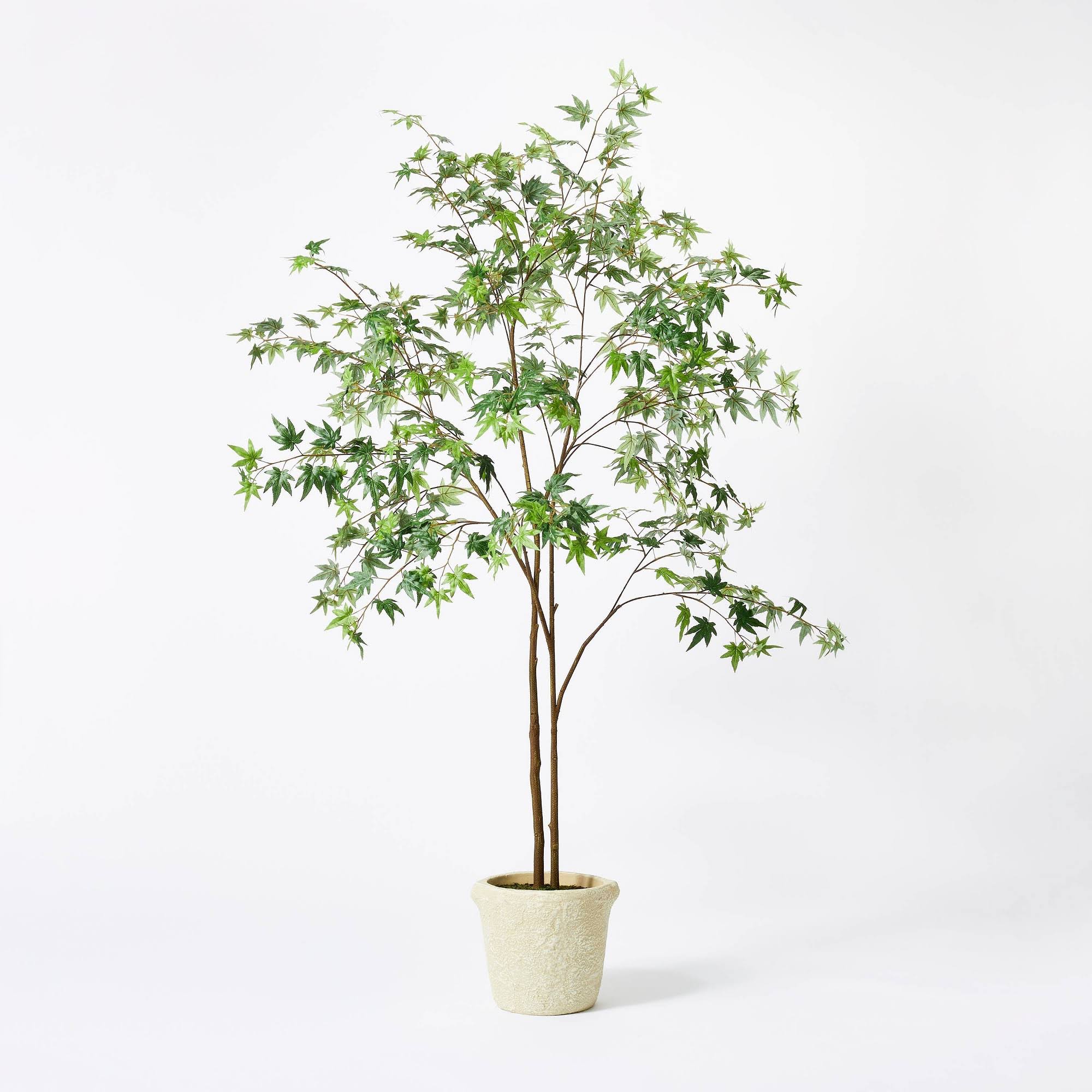 8c66a61adb7f87e6beb43f0052790a309cc658c7c0602664d8d90ddc6f70c7ba.jpg Maple Artificial Tree - Threshold Designed with Studio McGee - Image 1