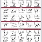QuickFit Resistance Bands Workout Exercise Poster - Double Sided (Laminated, 18" x 27")