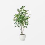 Moringa Artificial Tree Green - Threshold Designed with Studio McGee