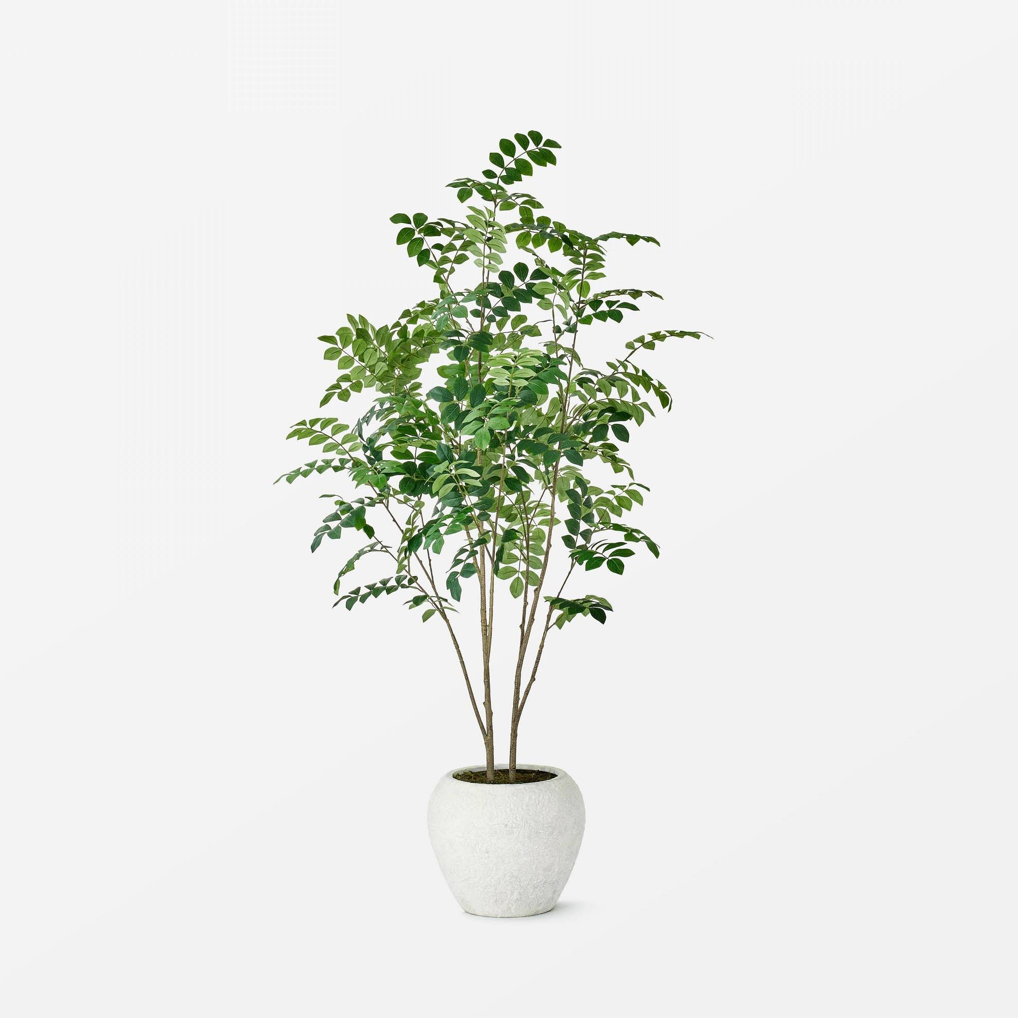 8ec6e2a90f7cd8cd1ffa2466a4c1ff3858173fb40846933c04d90f9ce8f6481d.jpg Moringa Artificial Tree Green - Threshold Designed with Studio McGee - Image 1