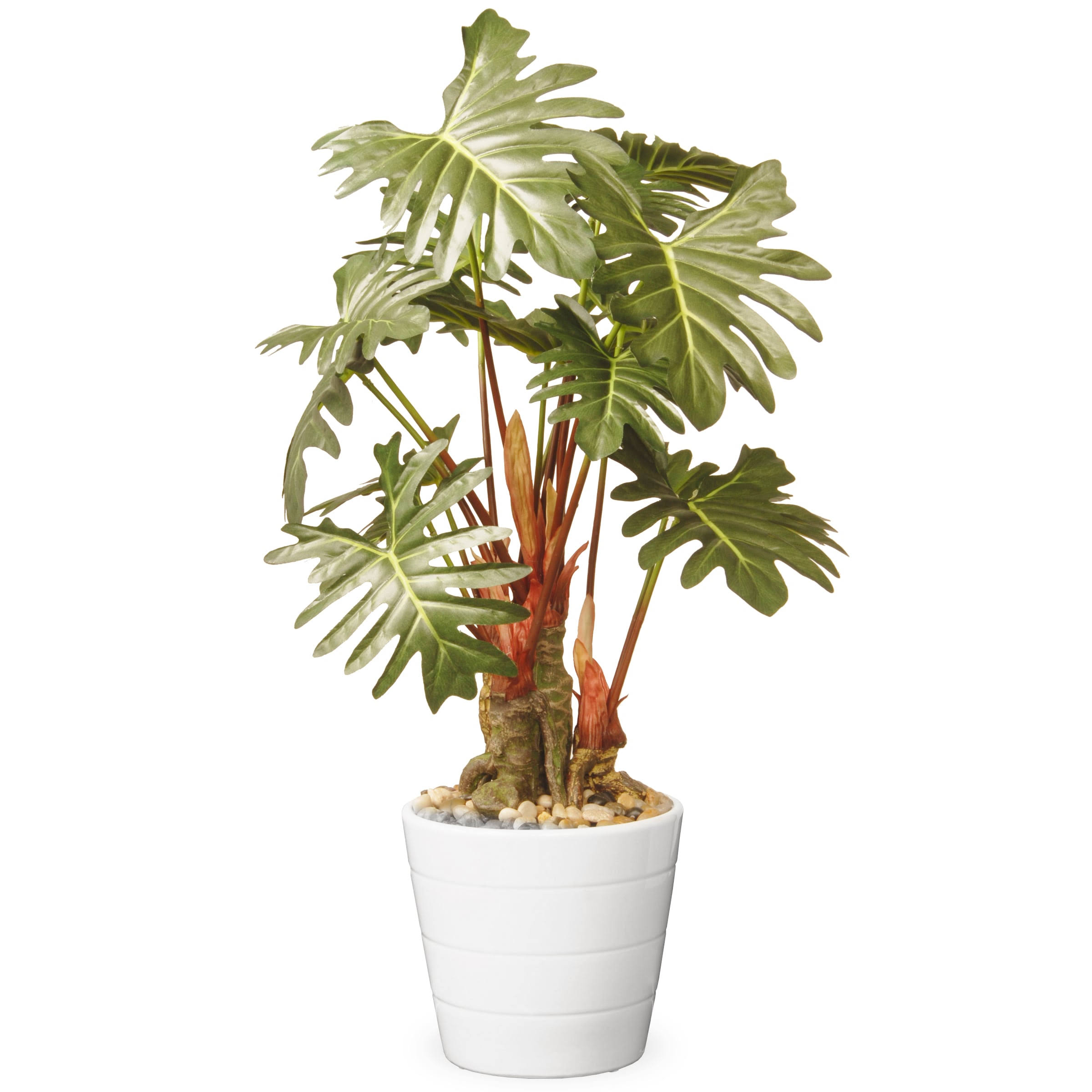 8ed89e724a547c7b4e5b46d1be52e55769ca2e350da99f946a951317a96218a6.jpg National Tree Artificial 21 inch Garden Accents Philodendron Flower, Green - Image 1