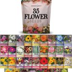 Flower Seeds Packets for Planting 35 Individual Varieties Perennial, Annual, Wildflower Seeds for Planting Outdoors for Bees and Butterflies - Semilla