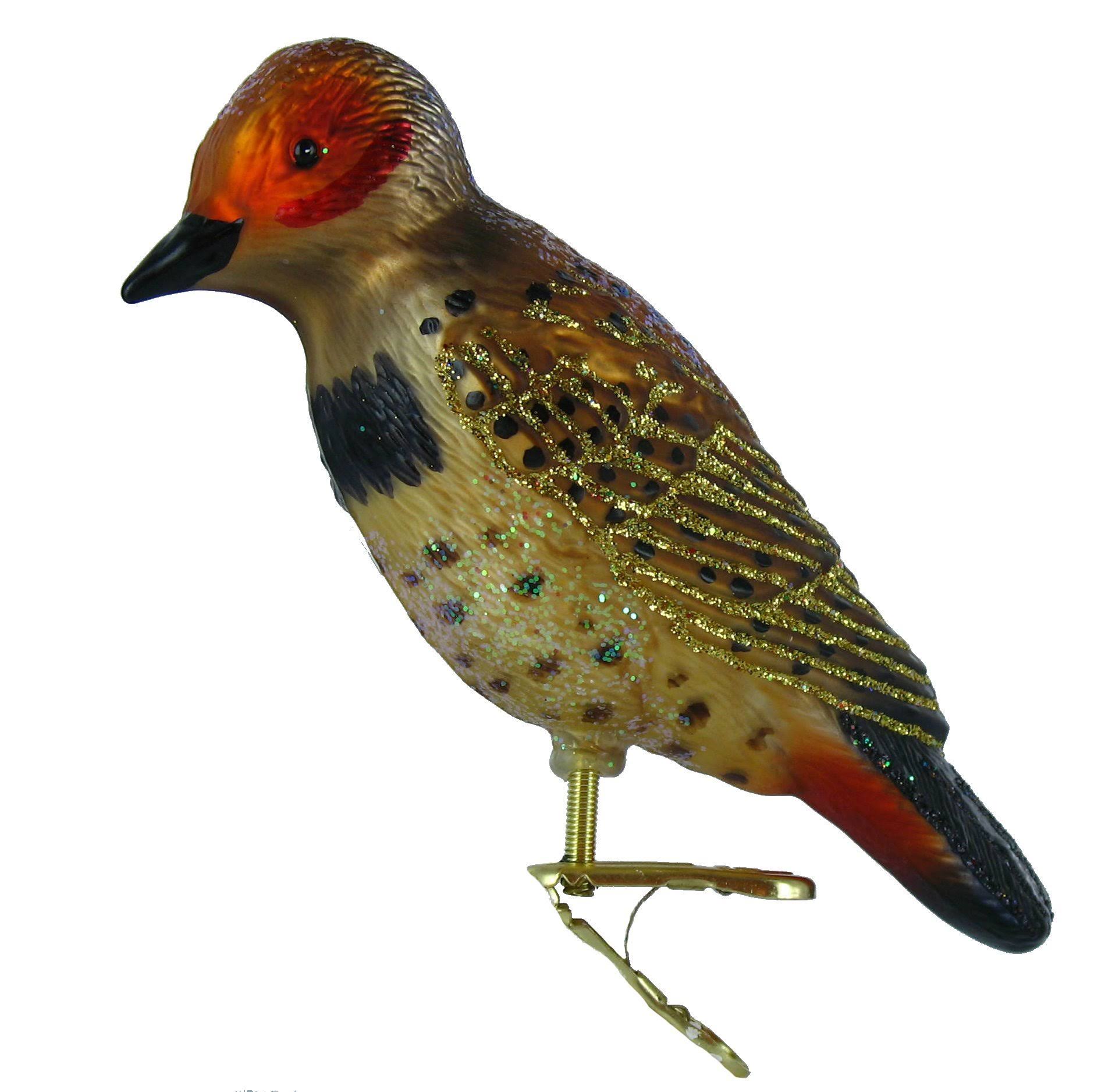 9070573443e168a1c6f858476d877c51875d97c69f0bc3b2f127ba7c2dc8048d.jpg Old World Christmas Northern Flicker Glass Blown Ornament - Image 1