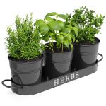 Barnyard Designs Indoor Herb Garden Planter Set with Tray, Metal Windowsill Plant Pots with Drainage for Outdoor or Indoor Plants, Black, Set/3