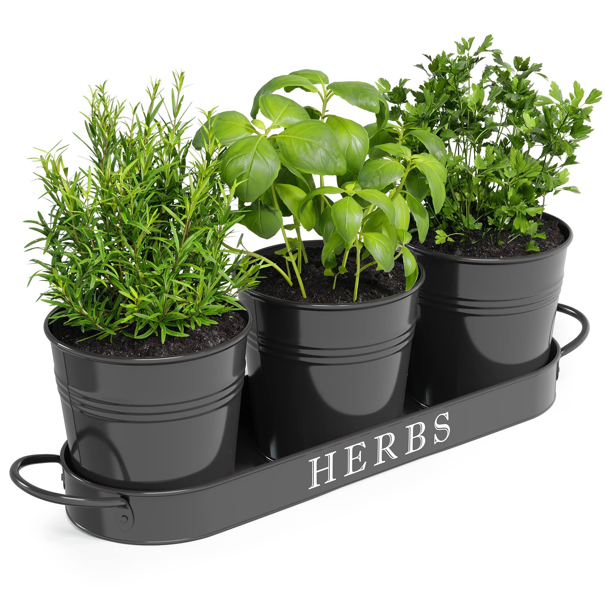 916c95d16057d48239241dfea77ff6ba1b179bff22b09ee88e6ac97a16ed2c4c.jpg Barnyard Designs Indoor Herb Garden Planter Set with Tray, Metal Windowsill Plant Pots with Drainage for Outdoor or Indoor Plants, Black, Set/3 - Image 1