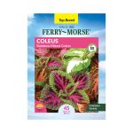 Ferry-Morse 120mg Coleus Rainbow Mixed Colors Annual Flower Seeds Full Sun