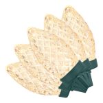 Home Accents Holiday 100 LED C9 Warm White Light Spool