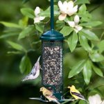 Squirrel Buster Mini Brome Bird Feeder
