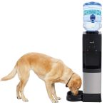 Primo Black Top-Loading Cold and Hot Water Cooler | 601335