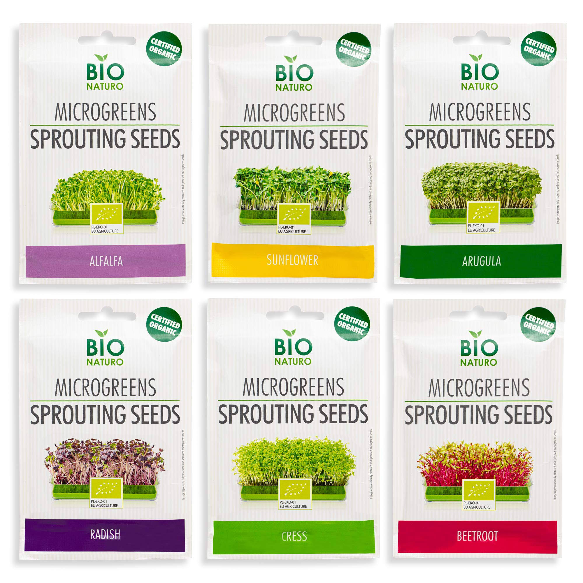 9708b8c3ec759db09dc3d7473639aba96b70f3bbb5ea8592b3e2b9053583f041.jpg Microgreens Sprouting Seeds | Organic Heirloom Non-GMO | 6-Pack (150g) Alfalfa, Arugula, Beetroot, Cress, Radish, Sunflower - Image 1