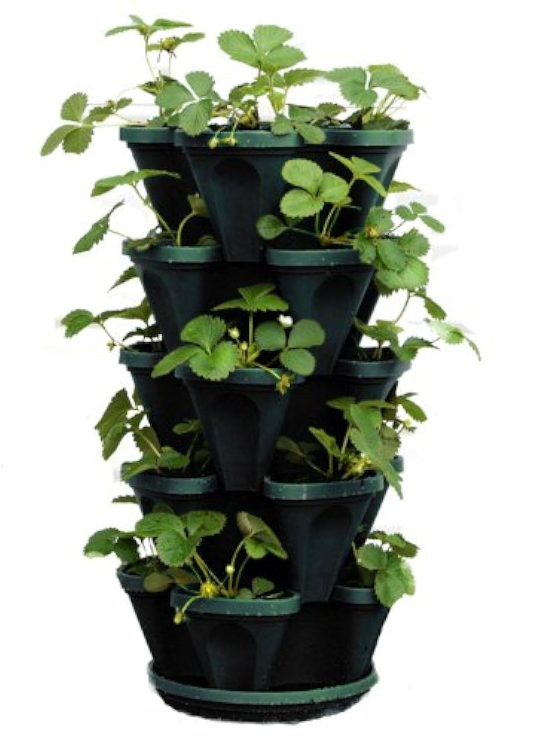 997b0ee215921c64dc76e51b587c7ac494dfd486a6efed82dd9ca51e98706d91.jpg Mr. Stacky 1305-hg 5-Tier Stackable Strawberry Herb Flower & Vegetable Planter - Image 1