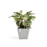 Ecopots Rotterdam Durable Indoor/Outdoor Modern Recycled Plastic Square Planter Flower Pot, White Grey, 15.75 inch