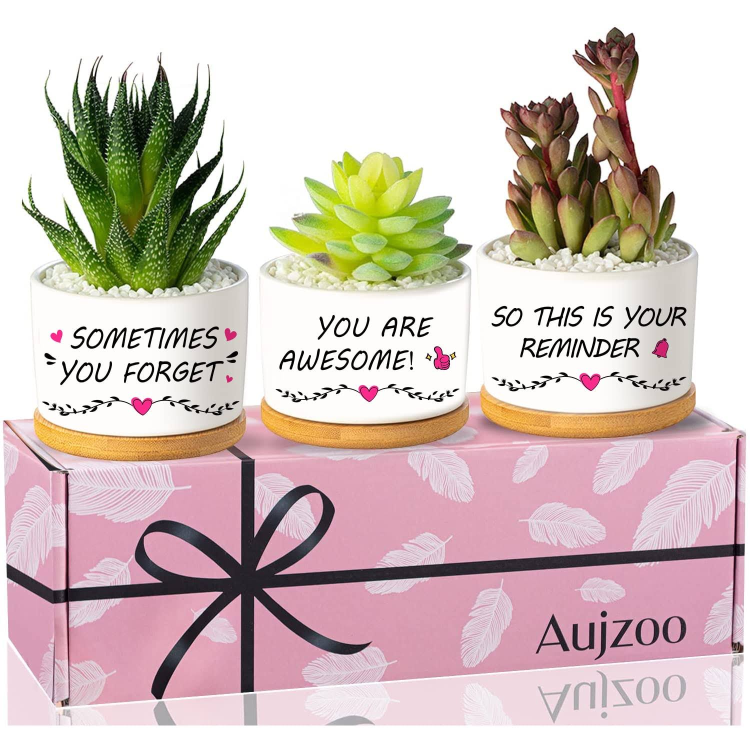 9c8fa544c9a9a5ea5861628a59626cb04043d01e49cc8366f2fbcb588788017f.jpg Aujzoo Inspirational Gifts for Women, You Are Awesome, Birthday Gift for Grandma Mom Sister Friend, Garden Decor Planter Succulent Pots - Image 1