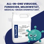 Benzarid Hospital Grade Cleaner Sanitizer - 1 Gallon
