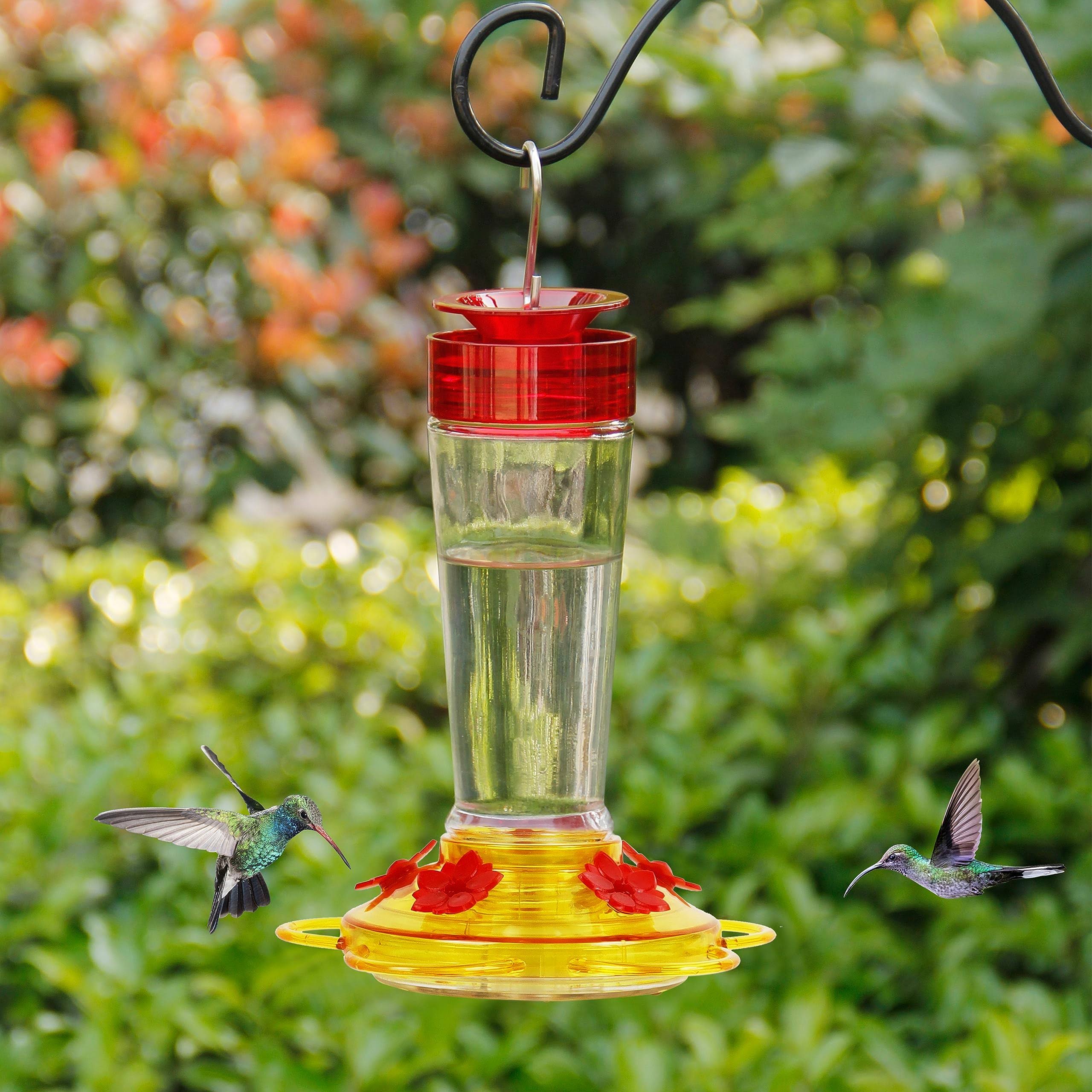 9d33182d4df6ed3aba734a3fe14afb0b92579260050dd93bc01cbbf164eb3367.jpg Shrdaepe Hummingbird Feeder, Glass Bottle Bird Feeders, 5 Feeding Ports (Red & Yellow) - Image 1