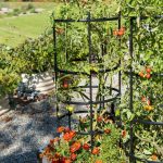 Gardener's Supply Company Titan Tomato Cages Set of 3