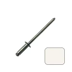 ScrooScoop Aluminum Pop/Blind Rivets #42D (#30 Drill), White, 100-Pack Bag