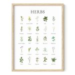 Haus and Hues Herb Pictures for Kitchen Wall Art - Kitchen Herbs Wall Art and Botanical Prints Herbs Art, Kitchen Wall Art Herbs and Kitchen Art, Cott