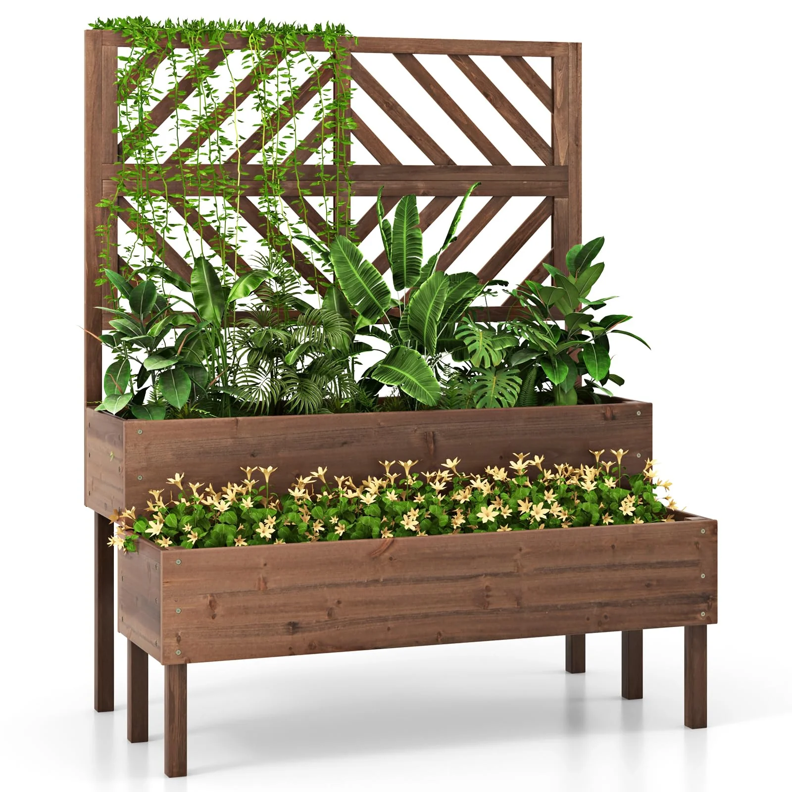 a72fd8d43261668cd3f648f7082c58c1be9258fa7dfaf832998d3f45f497a218.webp 2-Tier Raised Garden Bed with Trellis, 53" Freestanding Elevated Wood Planter Box with Legs & Drainage Holes for Climbing Plants, Flowers - Image 1