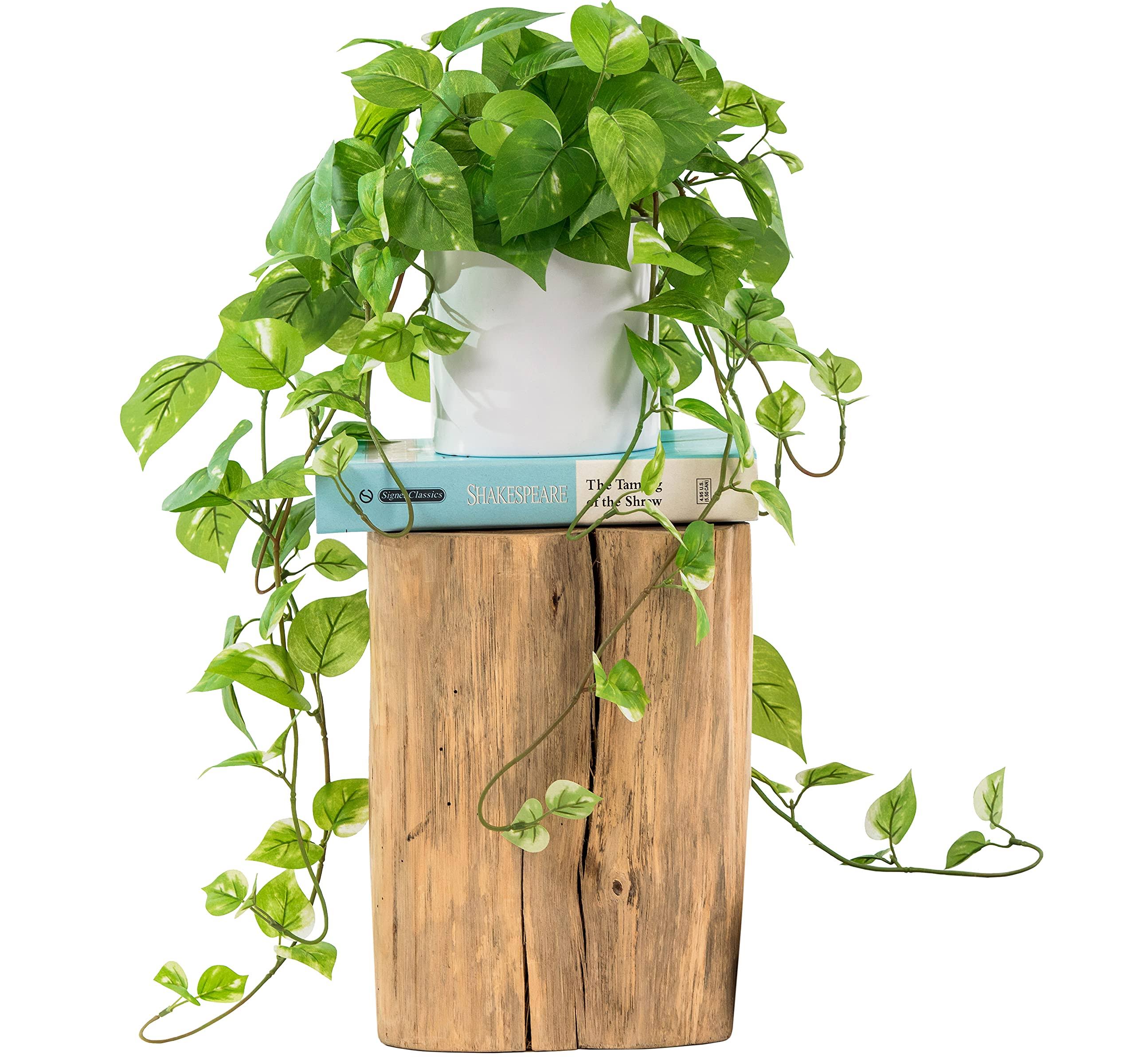 a883f53b27f2e7669aca84a1e5197237a4a0e9092d38065cd25a850b070d45b8.jpg My Rovala Artificial Plants for Home Decor Indoor in Pot Faux Plants Indoor Fake Plants for Living Room Decor Fake Plants for Bedroom Aesthetic - Poth - Image 1