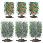 6 Pack Garden Mesh Netting for Plants, Pest Barrier Bug Netting with Drawstring, 2 Size Insect Bird Netting for Tomato Blueberry Fruit Tree Vegetable