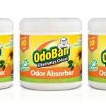 OdoBan Solid Odor Absorber Eliminator for Home and Small Spaces, Citrus Scent, 14 Ounces Each, 3-Pack