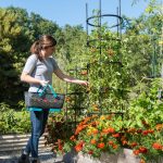Gardener's Supply Company Titan Tall Tomato Cages (Set of 3 )